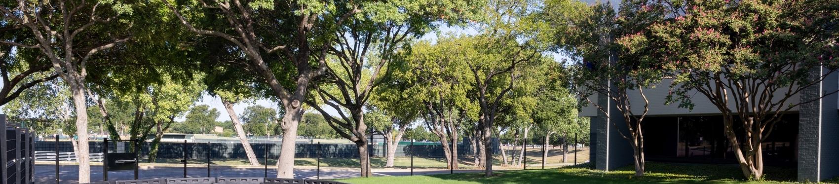 Background image for CTA section